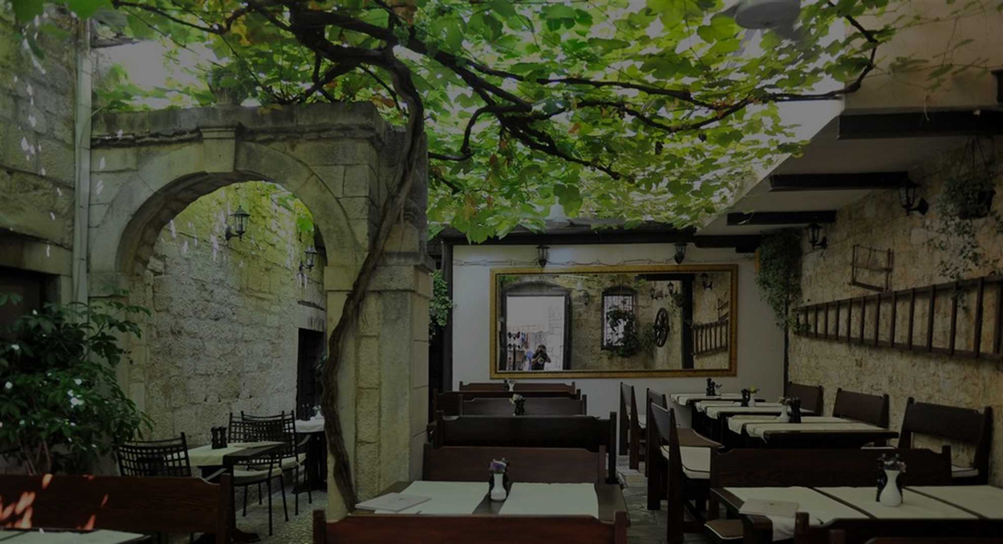 Taverna Trs i Trogir, uteservering under det gamle vintreet